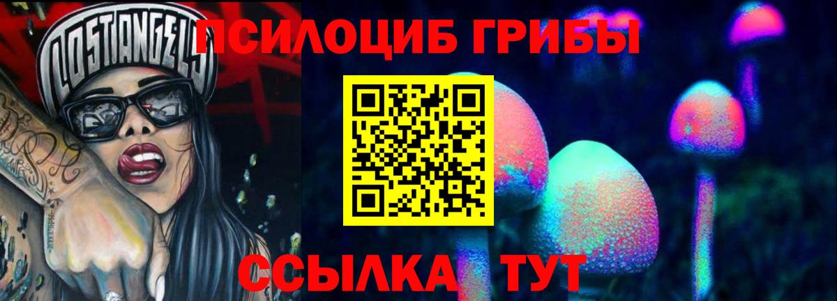 Псилоцибиновые грибы GOLDEN TEACHER  Галлюциногенные грибы Psilocybine cubensis  Вход с VPN  Мичуринск 